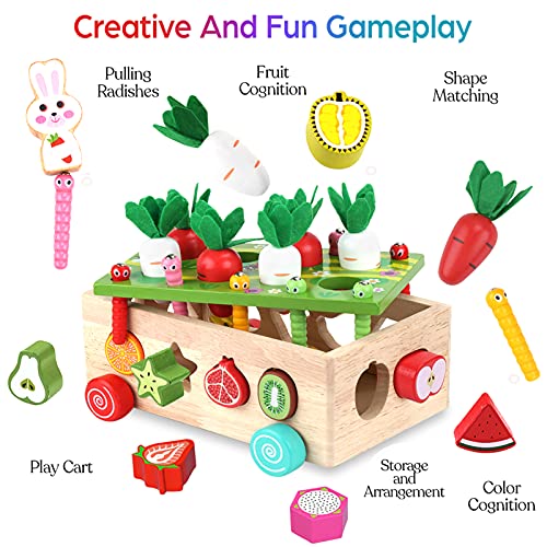 Toddlers Montessori Wooden Educational Toys for Baby Boys Girls Age 1 2 3 Year Old, Shape Sorting Toys 1st One First Birthday Girl Gifts for Kids 1-3, Wood Preschool Learning Fine Motor Skills Game